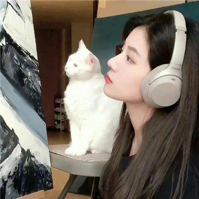 淑女绅士